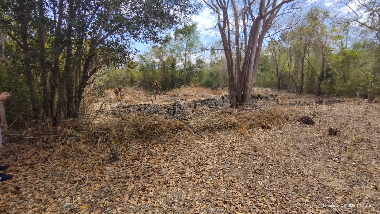 16c29536-bfb3-4061-82ea-4cbb4f06e86a