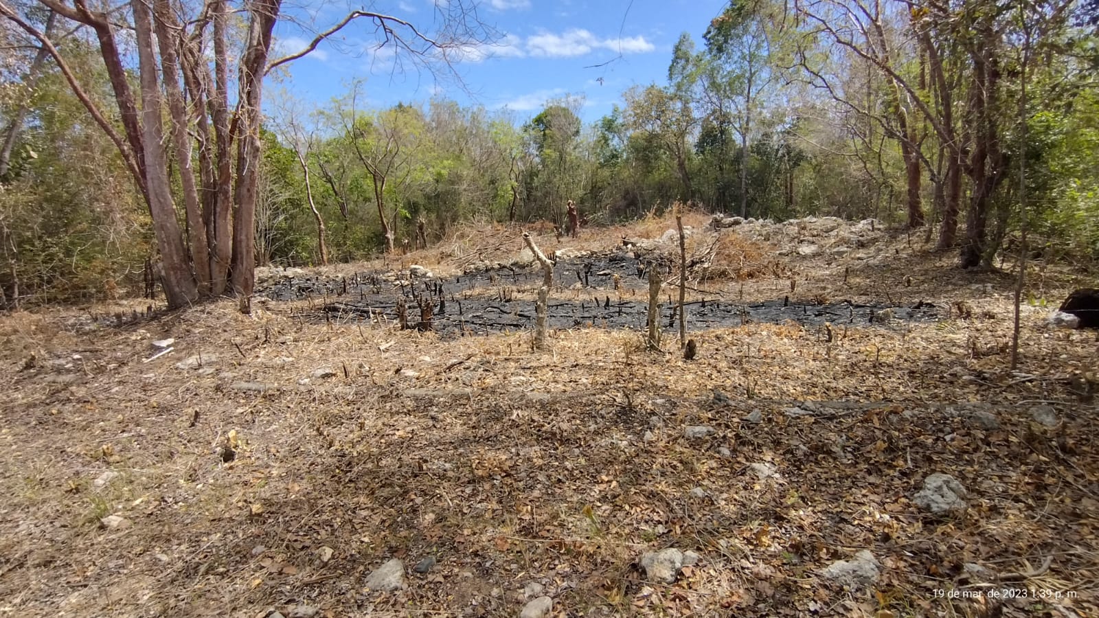 17b25805-e483-4acd-aafd-6ff7c8785c30