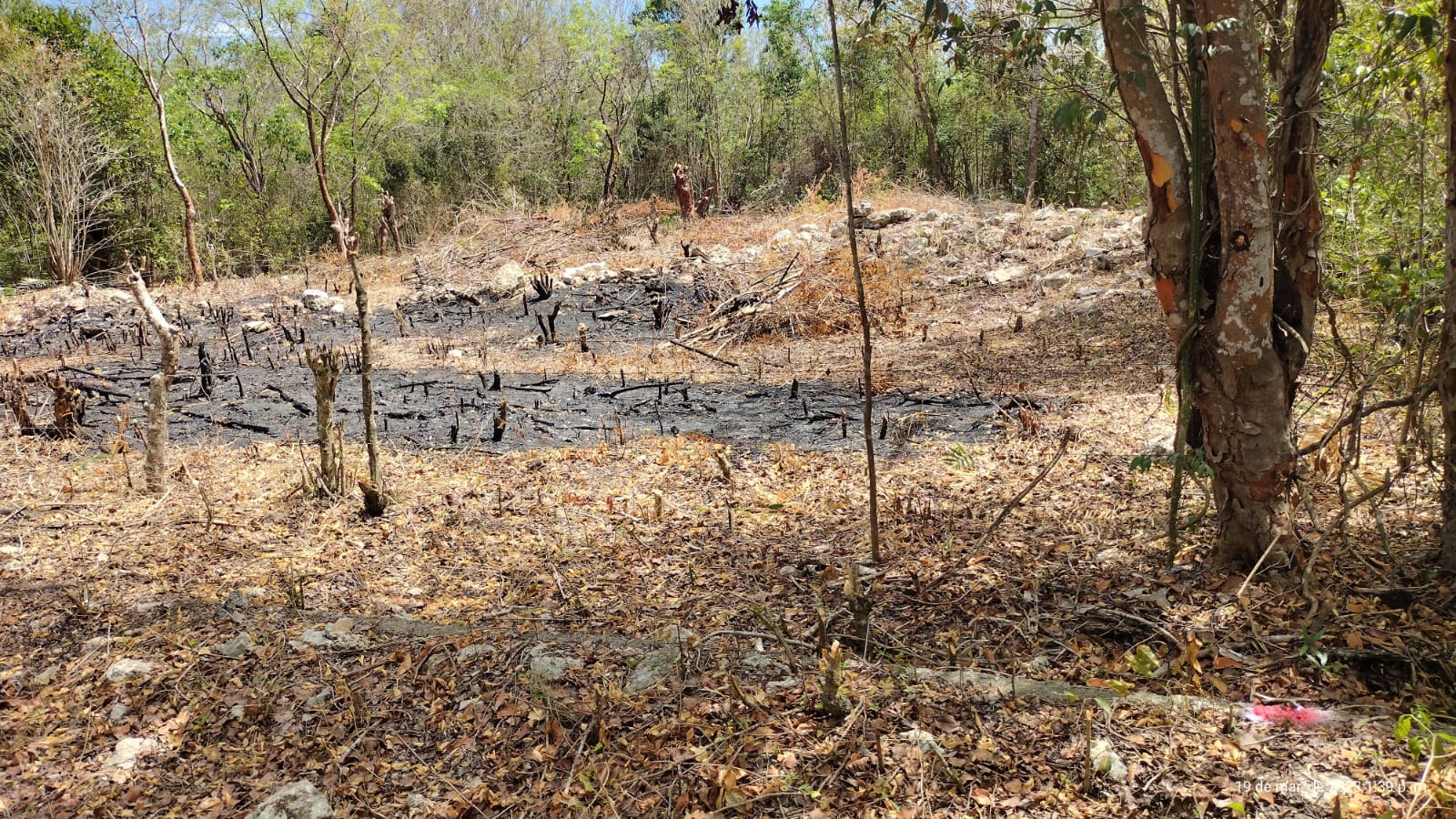 82ec87b2-5bf0-49c7-b915-4bc47a7a149b